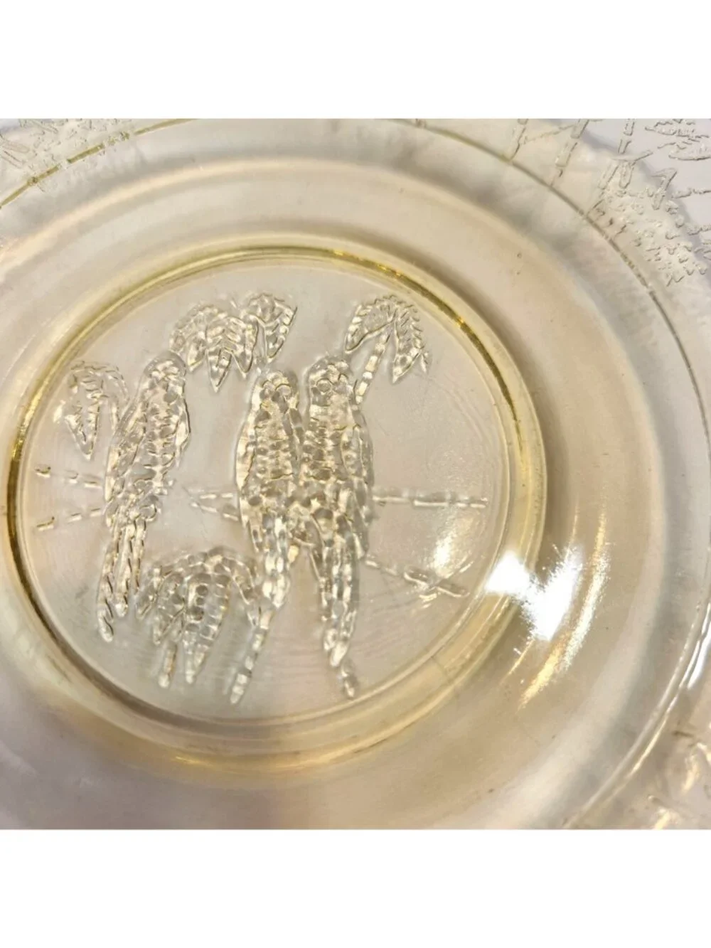 Federal Glass Depression Glass Plate with Sylvan Parrots & Leaves Square Rare